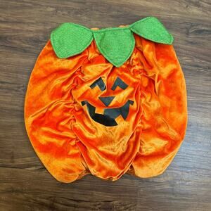 Pumpkin Jack O Lantern Dog Halloween Costume Petco XXL